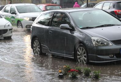 Tavaszi eső. Albert Levente felvétele