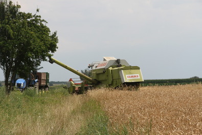 Raktározási kárpótlás