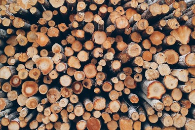 Fotó: Pixabay