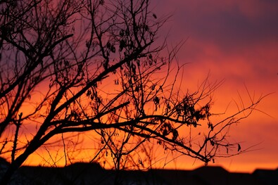 Decemberi reggel. Fotó: Mózes László