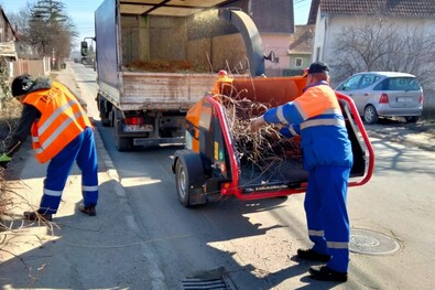 Ledarálják,  elszállítják a gallyakat