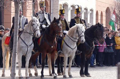 A megyeháza kiírta pályázatait (Civil szervezetek és egyházak)