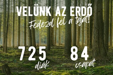 Hiánypótló vetélkedőn ismerkednek az erdővel