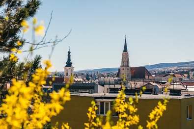 Fotó: Facebook / RMDSZ Kolozsvári Szervezet