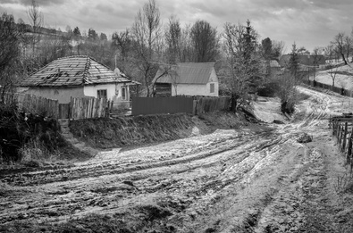 Steigerwald Tibor: Utazás
