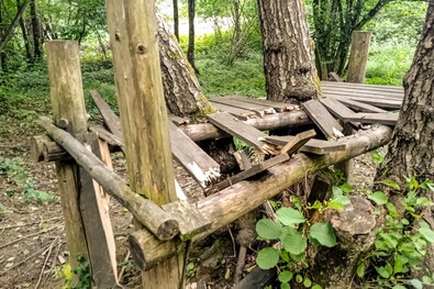 A szerző felvétele