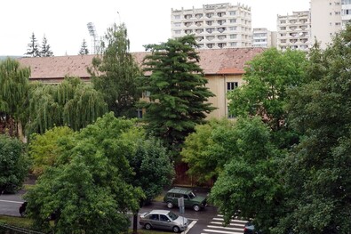 A sepsiszentgyörgyi Váradi József Általános Iskola diákjai jól teljesítettek. Fotó: Szekeres Attila