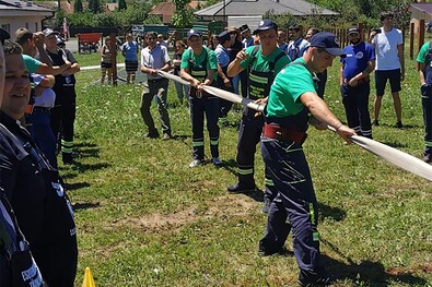 A fekete ribizli ünnepe