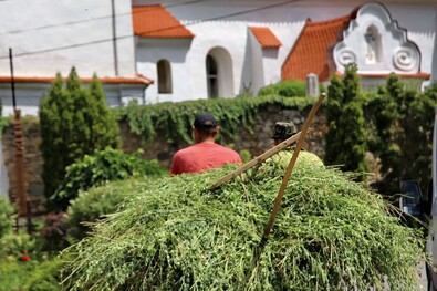 A nap fotója