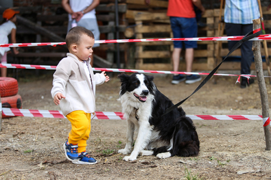 Egy barátság kezdete. Fotó: Miska Brigitta