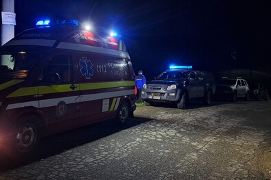 Éjszakai medveriasztás. Fotó: Facebook / Jandarmeria Brașov