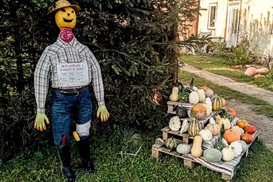 Tök/jó/önkiszolgáló Pákéban