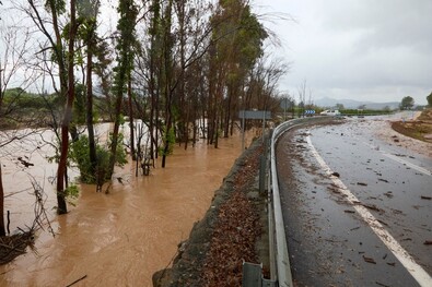 Fotó: Facebook / Generalitat Valenciana