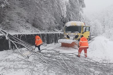 Fotó: Facebook / DRDP Brașov