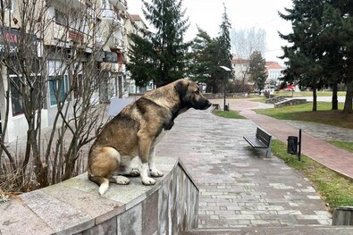 A nap fotója