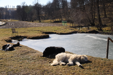 A nap fotója