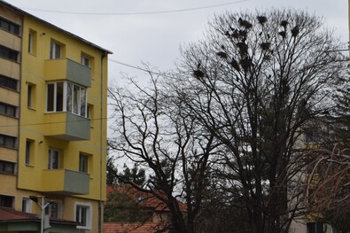A szerző felvétele