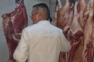 Szigorítottak a hús importján. Fotó: Facebook / Autoritatea Nationala Sanitara Veterinara si pentru Siguranta Alimentelor