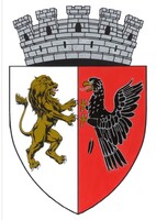 Nagyszalonta címere – Szekeres Attila István alkotása