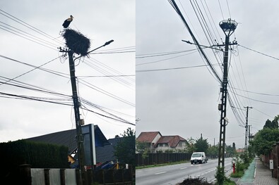 Leesett egy kézdioroszfalvi gólyafészek