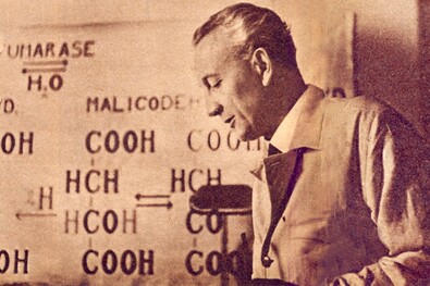 Szent-Györgyi Albert, a Nobel-díjas magyar tudós