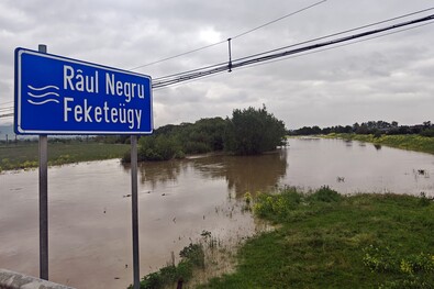 Árvíz után kánikula,  veszélyben a vetőmagtermesztés (Mit  hoz  a  szélsőséges  időjárás?)