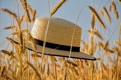 Fotó: pixabay.com