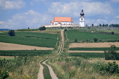 Ezt a földutat is aszfalt fogja borítani. A szerző felvétele