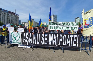 Fotó: Facebook / Federaţia Silva