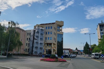 A szerző felvétele