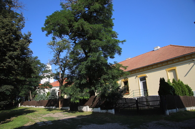 Egyesek lemondtak,  mások folytatják (Új  óvoda-  és  iskolaigazgatók)