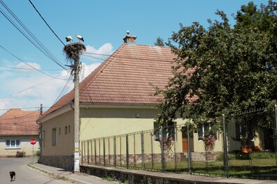 Gólyák egy nagybaconi iskola tetején. Hecser László felvétele