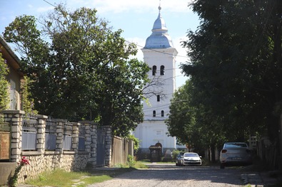 Ahol „vándorol” a bolgárkertészet