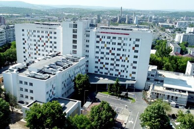 A kudarcos állam újra ölt