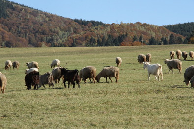Meghosszabbították a tilalmat