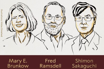 Két amerikai és egy japán tudós kapta  az elismerést (Orvosi-élettani  Nobel-díj)
