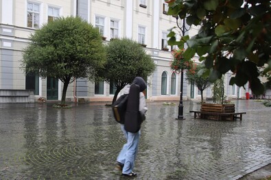  Esőben. Albert Levente felvétele 