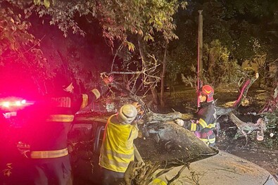 Fotó: Facebook / Primăria Constanța