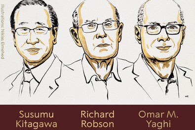 Fotó: Facebook / Nobel Prize. Grafika: Niklas Elmehed