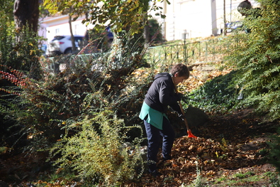 Őszi színek. Albert Levente felvétele