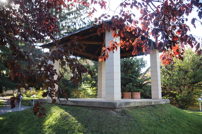 Moyses Márton, Nagyajta és Székelyföld hőse