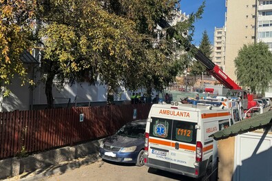 Fotó: Nagy D. István