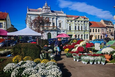 Virágtenger Kézdivásárhely főterén. Fotó: Bartos Lóránt