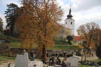 Albert Levente felvétele