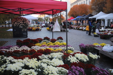Virágvásár Sepsiszentgyörgyön. Albert Levente felvétele