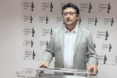 Kulcsár-Terza József parlamenti képviselő, az MPE ügyvivő elnöke. A szerző archív felvétele