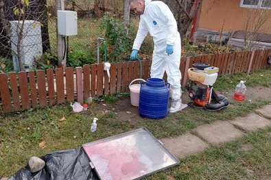 Egy magángazdaságban igazolták több sertésnél a fertőzést. Fotó: Kovászna Megyei Állategészségügyi és Élelmiszer-biztonsági Igazgatóság