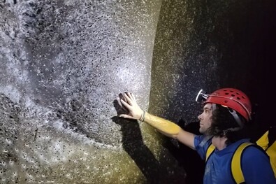 Arachnológiai világszenzáció Háromszékről