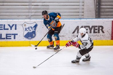 Könnyedén érvényesítették a papírformát (Jégkorong)