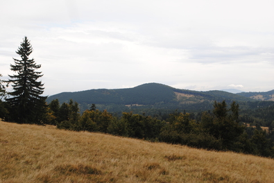 Negyedszer is elnapolták a tárgyalást (A román állam az ozsdolai közbirtokosság ellen)
